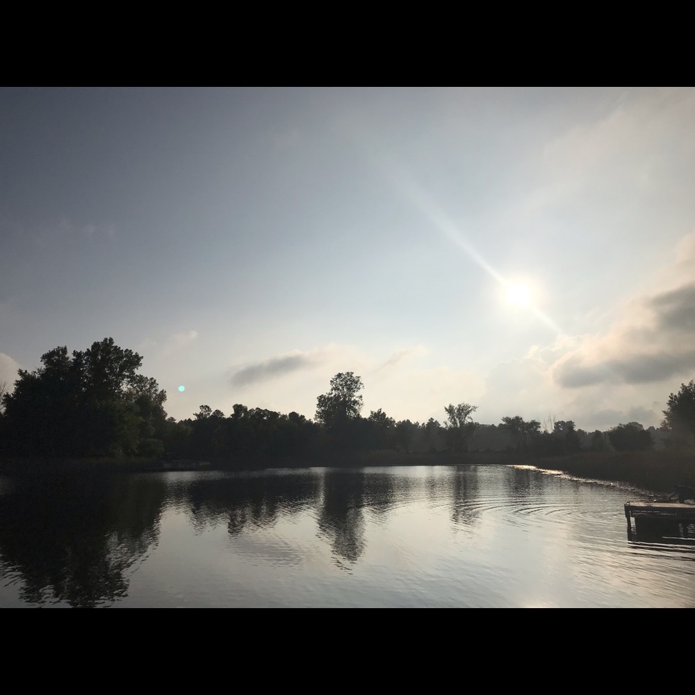 Meet your Posher, Roxanne